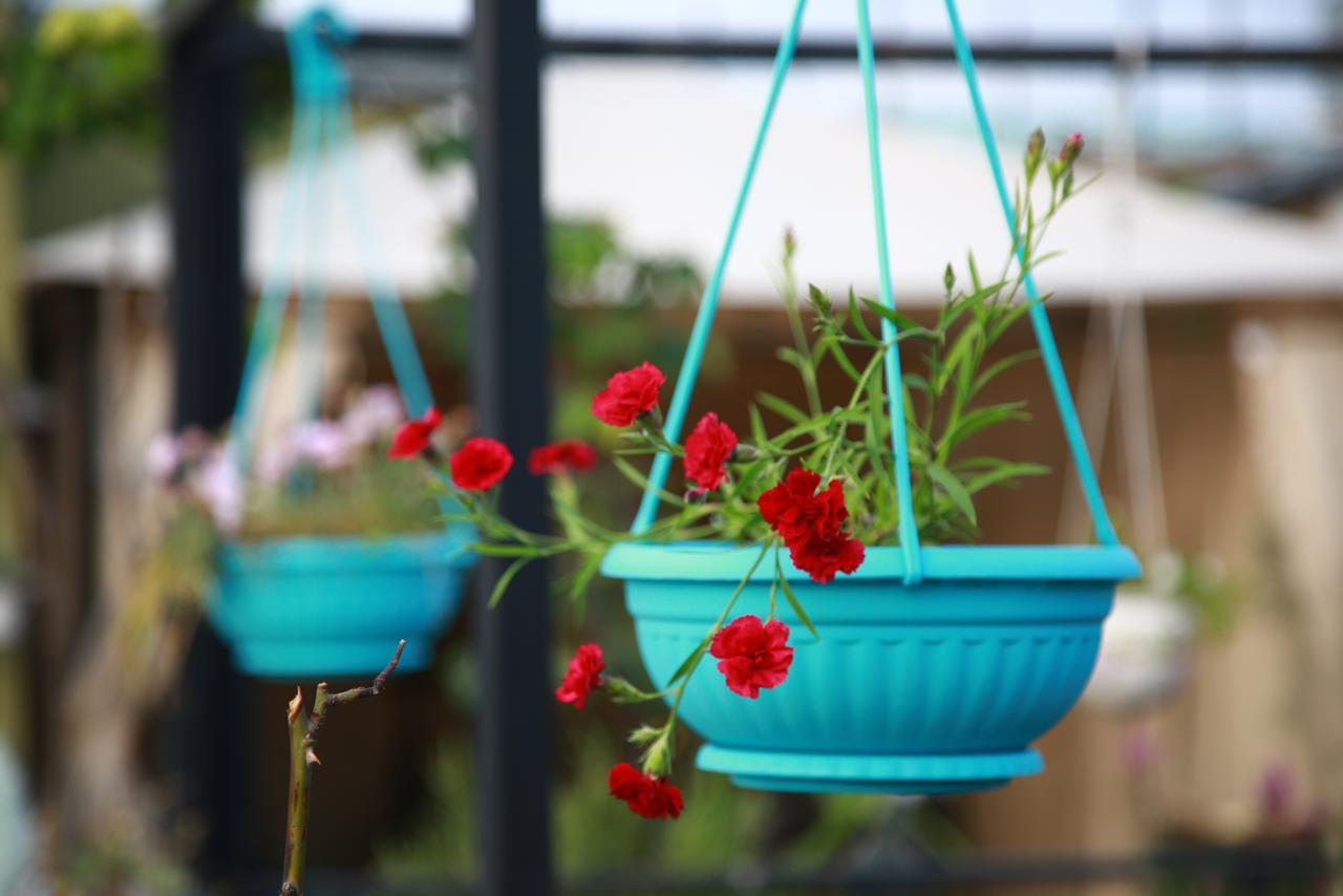 טביליסי Terrace Garden Boutique Hotel מראה חיצוני תמונה