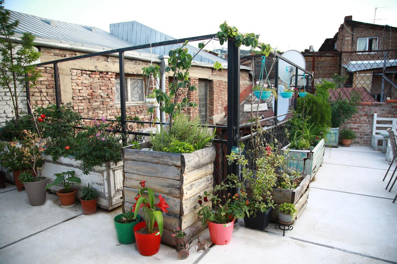 טביליסי Terrace Garden Boutique Hotel מראה חיצוני תמונה
